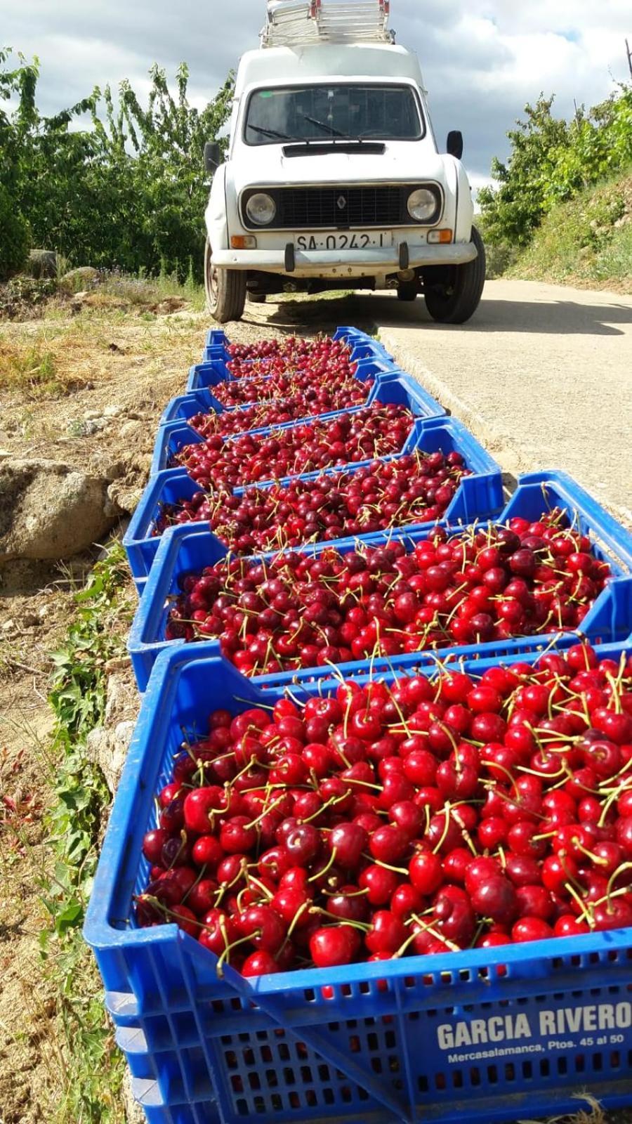 Cepeda Casa Rural Mirador Del Valle מראה חיצוני תמונה