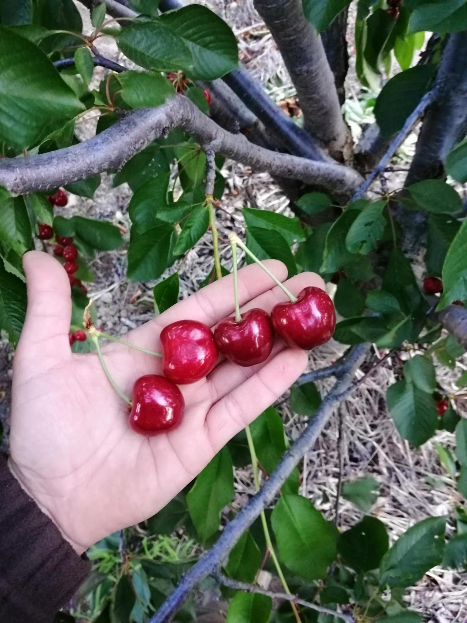Cepeda Casa Rural Mirador Del Valle מראה חיצוני תמונה