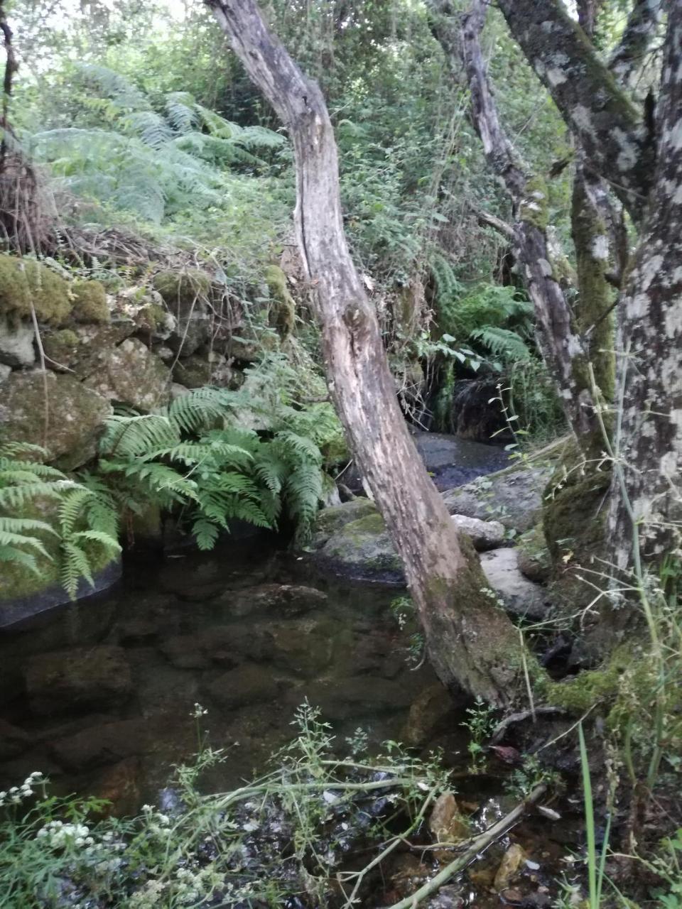 Cepeda Casa Rural Mirador Del Valle מראה חיצוני תמונה